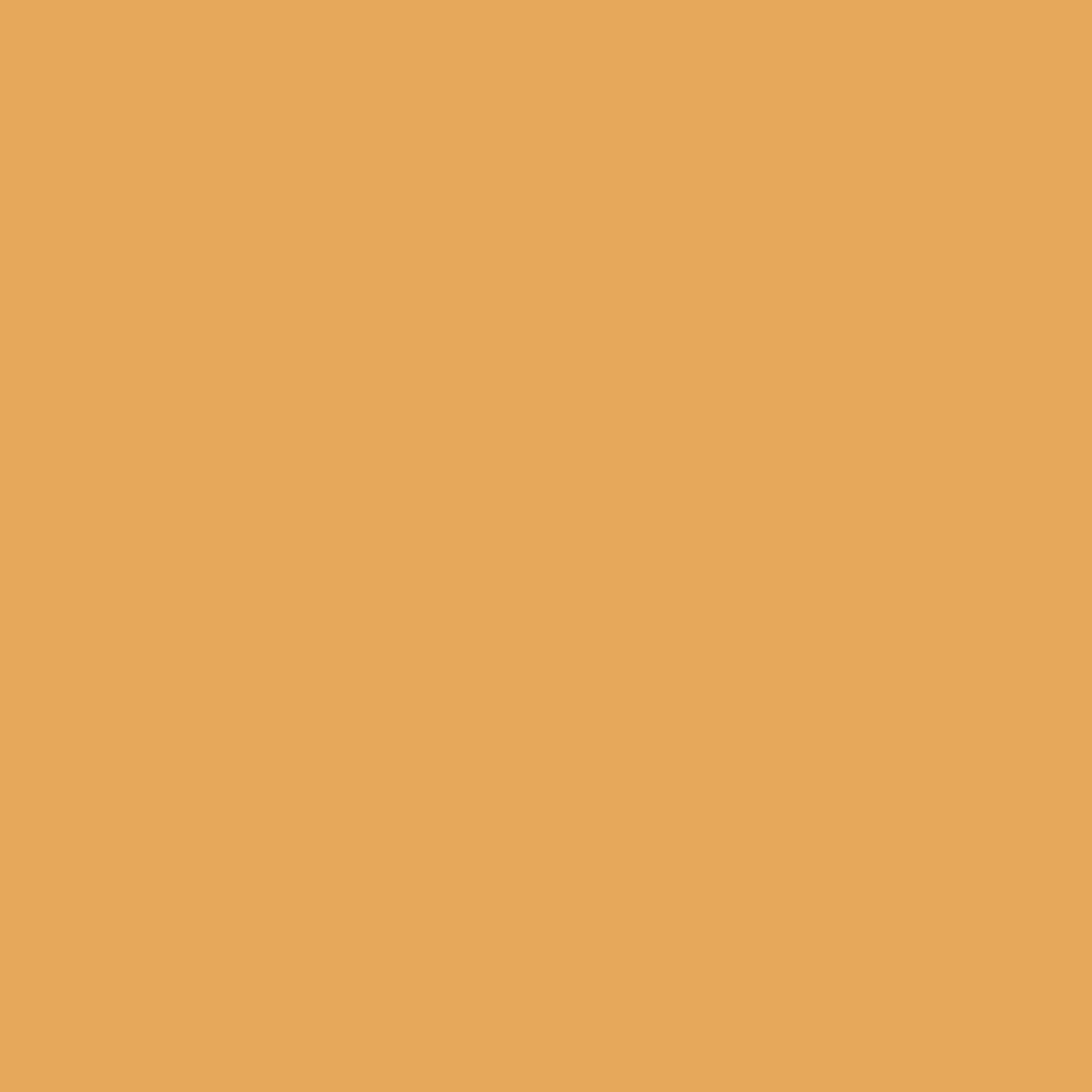 pilgrim dream matte foundation stick 245 classic almond 10g