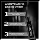 RENEE COLOR FIX INSTANT HAIR COLOUR TOUCH UP STICK BLACK- 15 ML