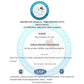 MARS CANCEL CONCEALER 05 SAND STONE