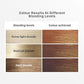 STREAX HAIR HIGHLIGHTING KIT CAPPUCCINO BROWN- 75GM
