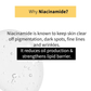 DERMDOC 4% NIACINAMIDE DAY CREAM 50G