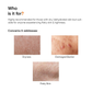 MINIMALIST MARULA OIL 5% FACE MOISTURIZER 50G