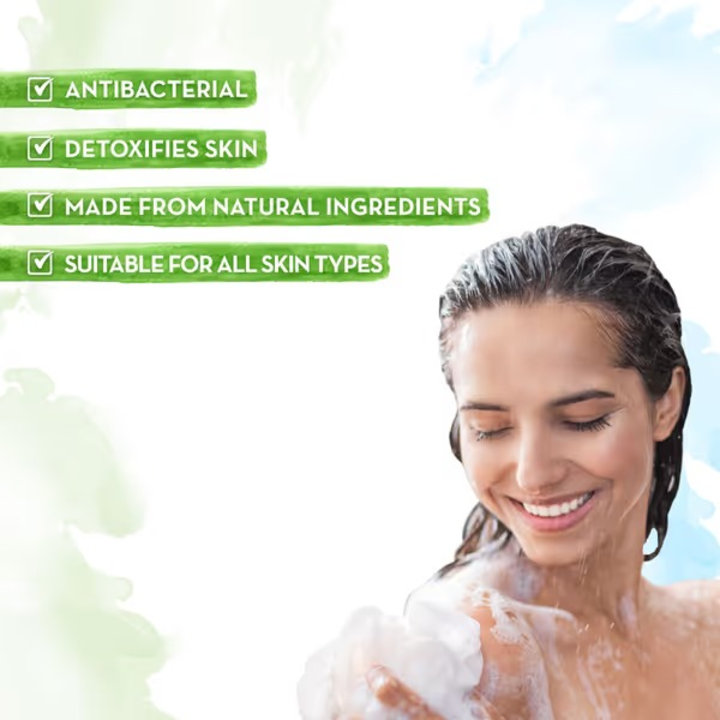 Mamearth Tea Tree Body Wash 300 ml