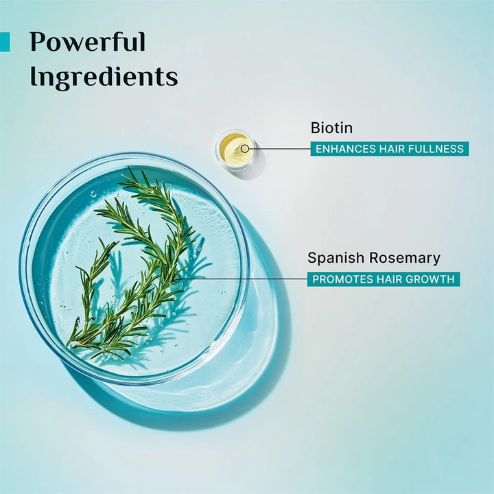 PILGRIM BIOTIN ANTI-HAIR FALL CONDITIONER-SPANISH ROSEMARY- 200 ML