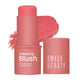 SWISS BEAUTY BLUSH-SB-886 -05 CHIC ME UP 8G
