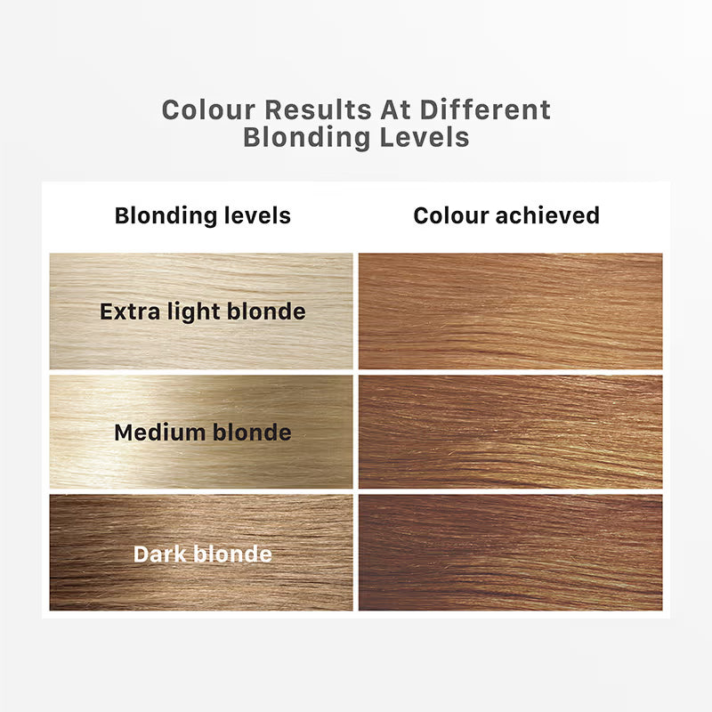 STREAX HAIR HIGHLIGHTING KIT MOCHA BROWN- 75 GM