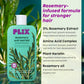 PLIX ROSEMARY ANTI HAIR FALL ADVANCED SHAMPOO 200ML
