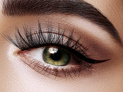 RENEE 3D FALSE EYELASHES -ASH THE FIERY ONE