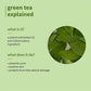 PLUM PORE CLEANSING FACE WASH GREEN TEA-100 ML