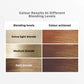 STREAX HAIR HIGHLIGHTING KIT CAPPUCCINO BROWN- BIG 180 GM